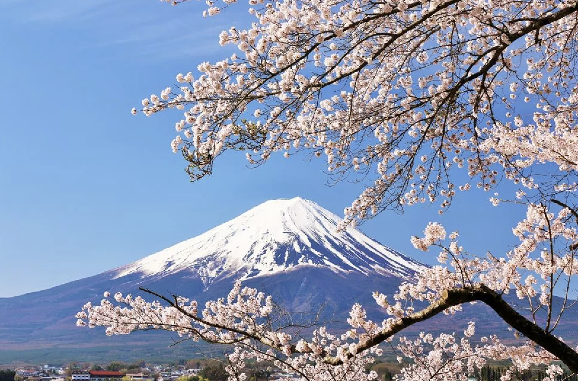 Exploring the History Timeline of Japan